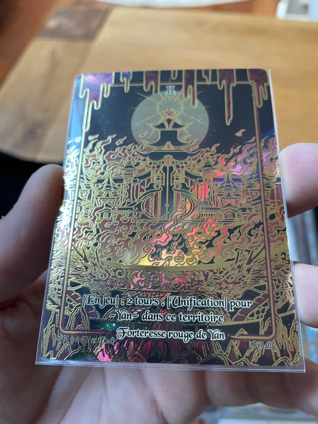 Customer photo review of Display Trois Royaumes