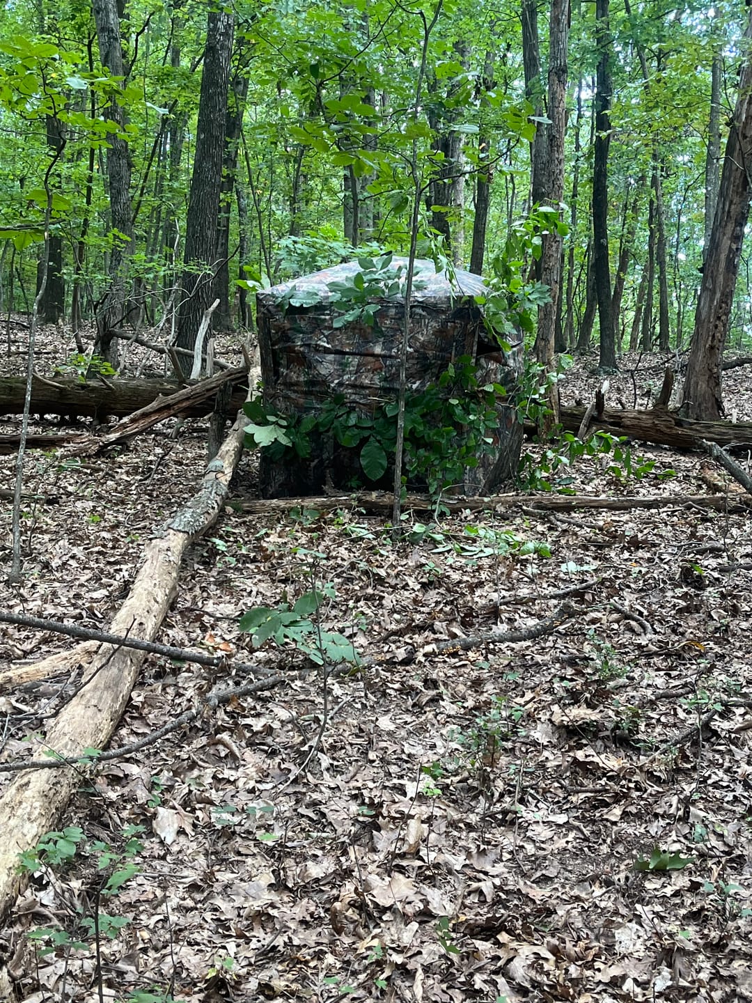 Customer photo review of FLASH SALE VisX/VisMax See Through Hunting Blind, Pop Up Ground Deer Blind