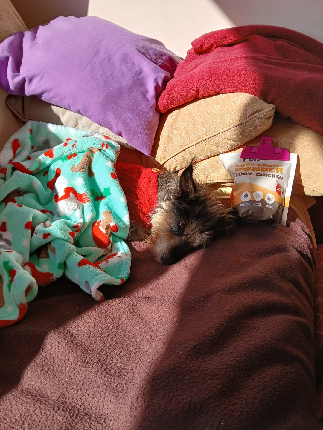 Customer photo review of Chicken Bone Broth Powder For Dogs & Cats | 250g