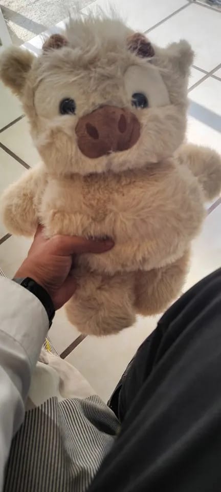 Customer photo review of MooDash BoopJoy – La vaquita de peluche que corre