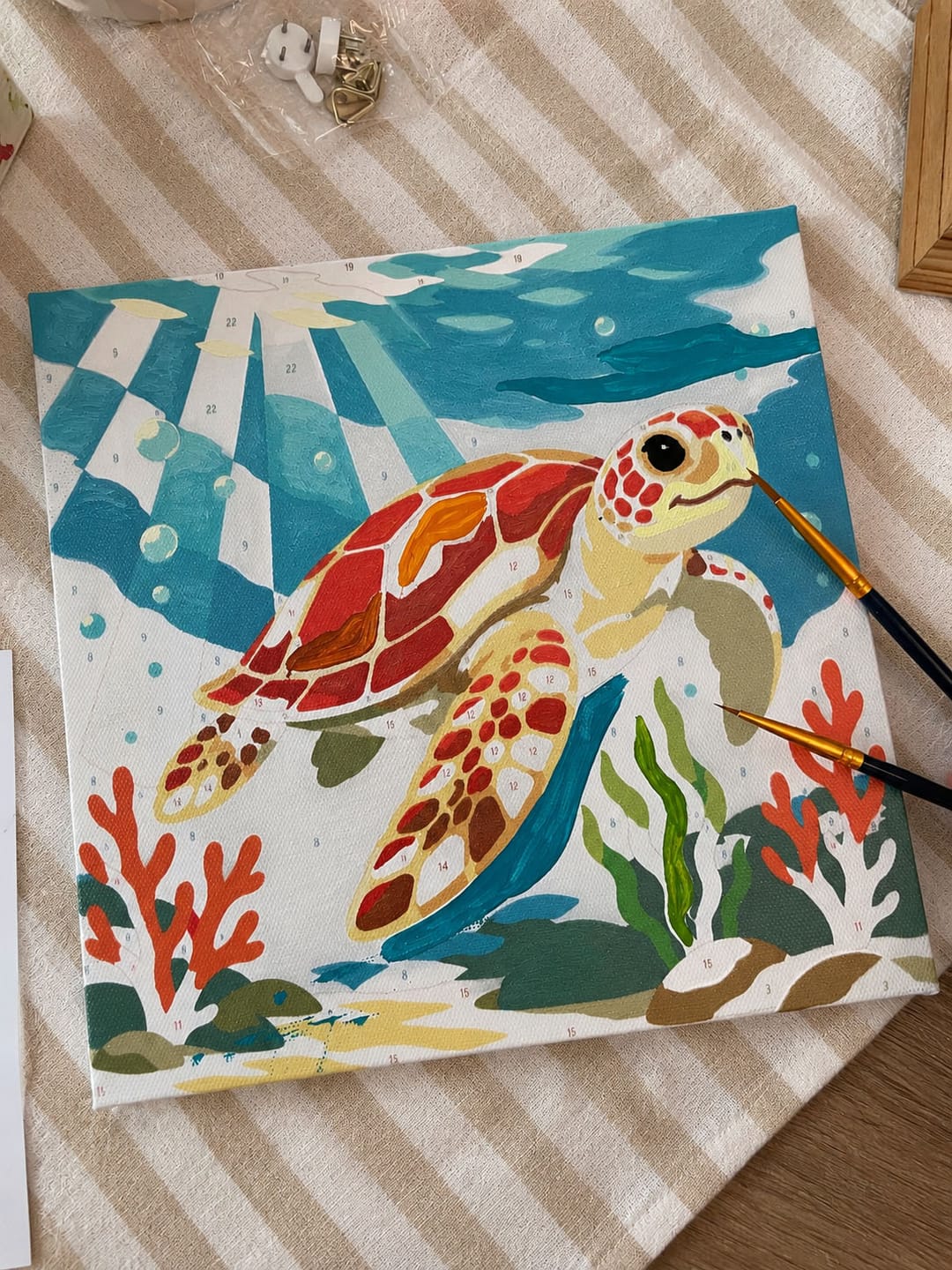 Customer photo review of Mini Peinture par Numéros 20x20cm avec cadre Tortue