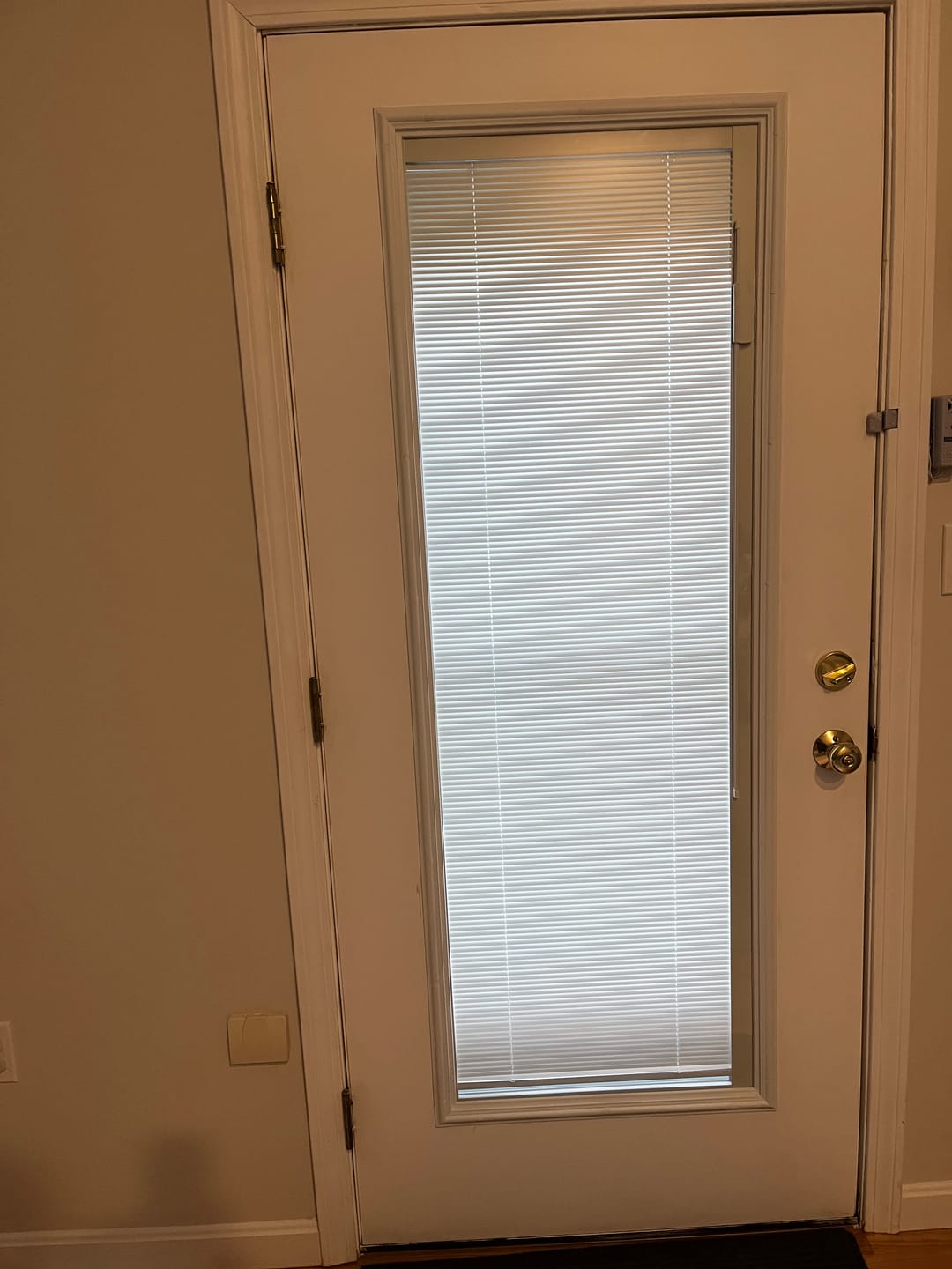 Customer photo review of Raise & Lower Blinds Glass and Frame Kit (Full Lite)