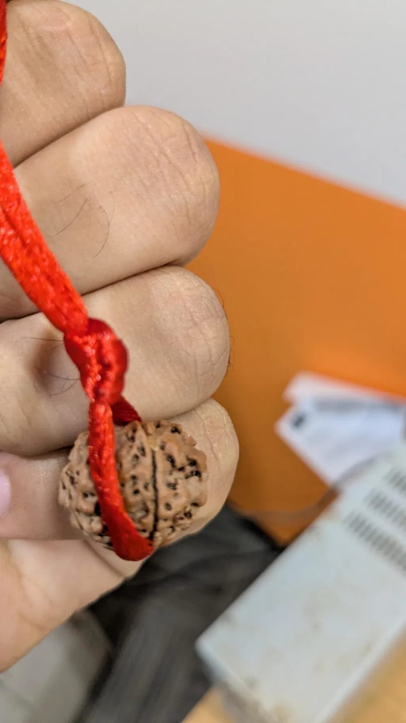 Customer photo review of Nepal Origin 8 Mukhi Rudraksha – 100% Natural & Certified