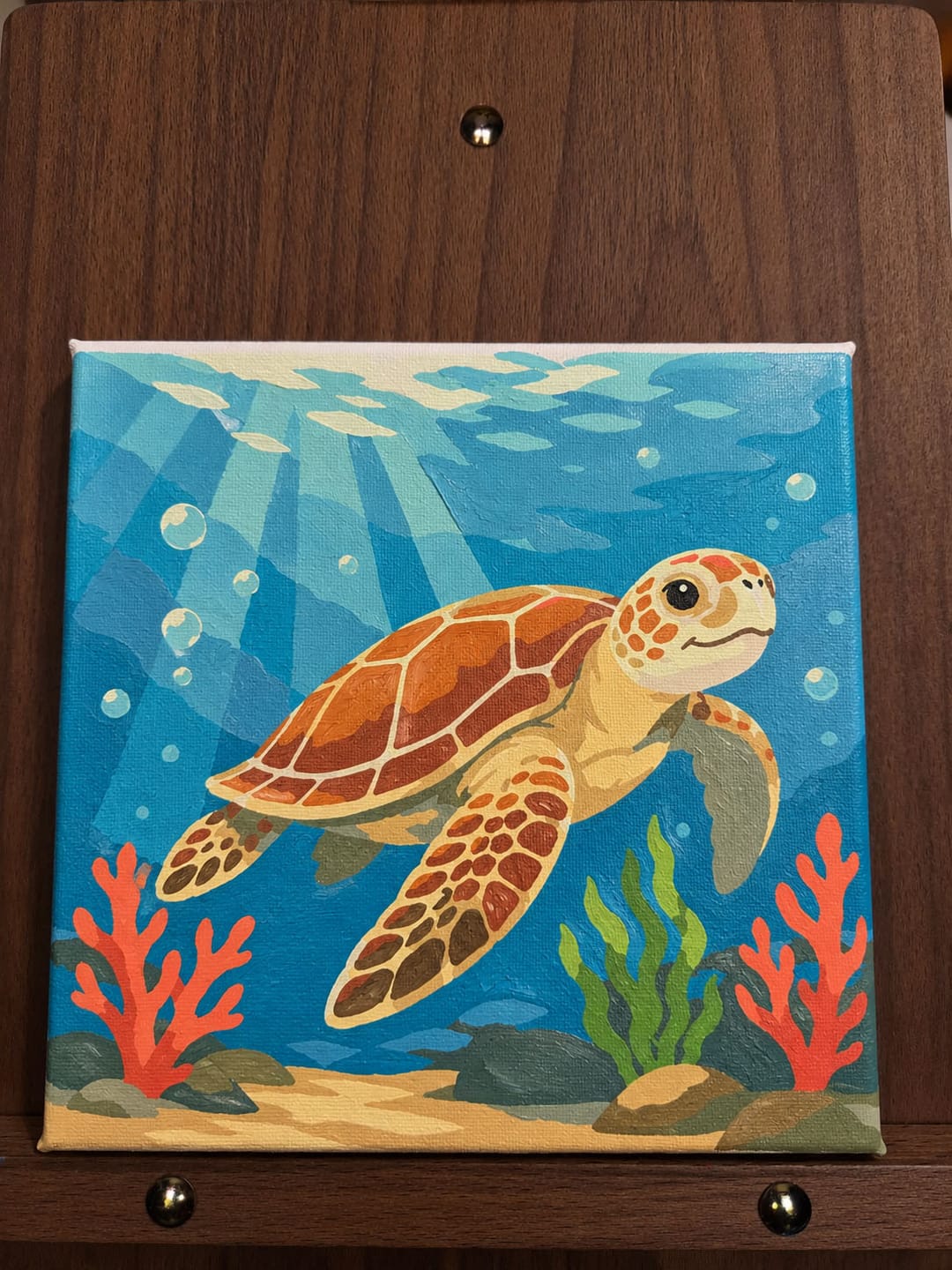 Customer photo review of Mini Peinture par Numéros 20x20cm avec cadre Tortue