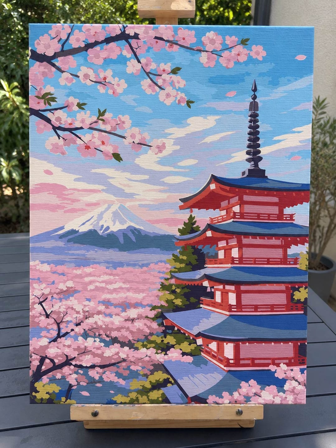 Customer photo review of Coffret Peinture par numéros - Pagode du Mont Fuji