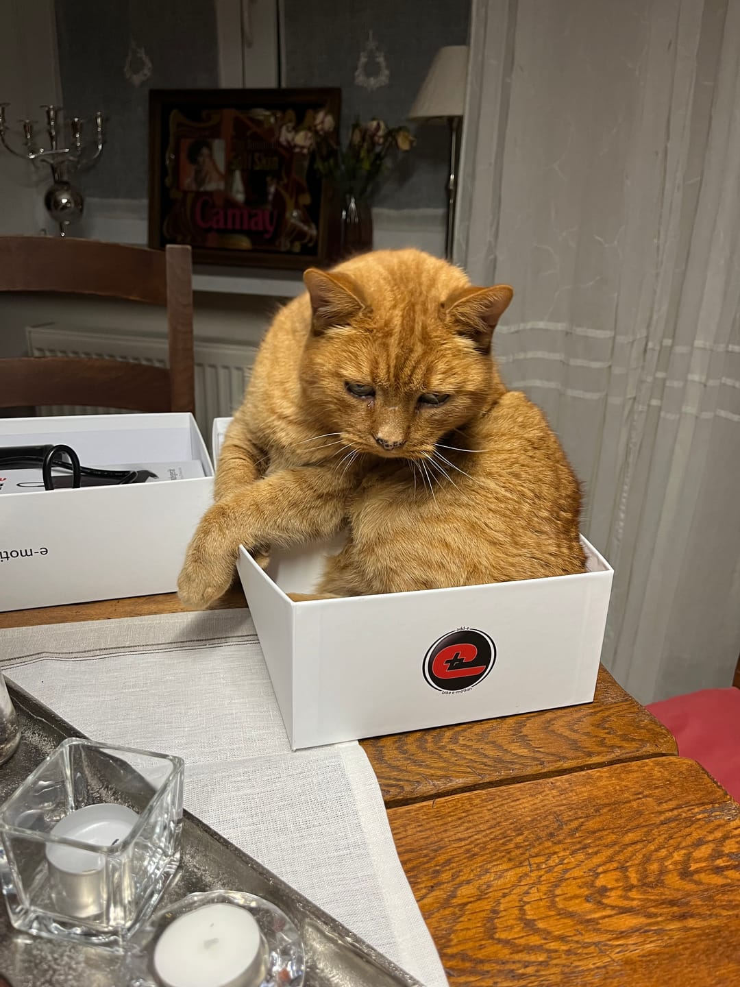 Customer photo review of Katzenstreu 2+1 Aktion