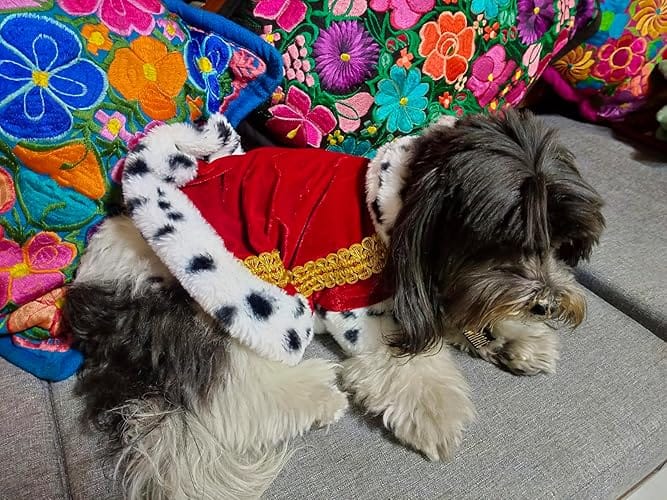 Customer photo review of Capa de Rey para Mascotas – Disfraz Halloween