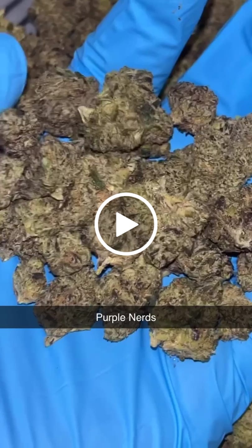 Customer video review of Bulk Indoor THCA Smalls