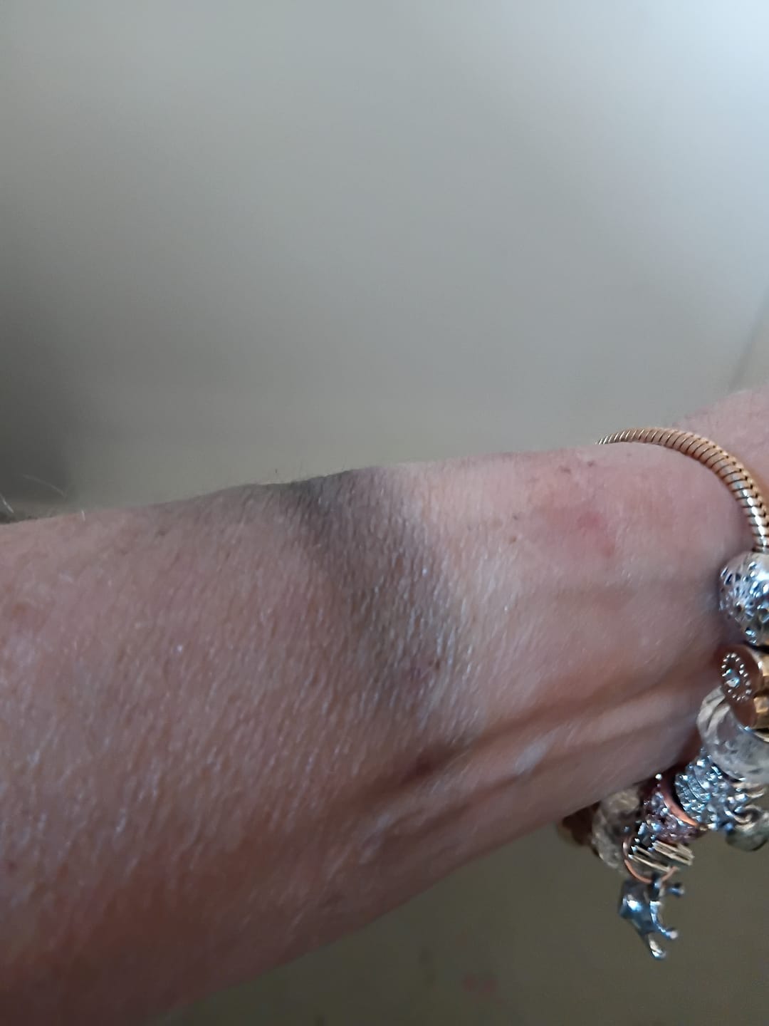 Customer photo review of Pandora Inspired Full Set Beaded Charm Bracelet - White/ Gold