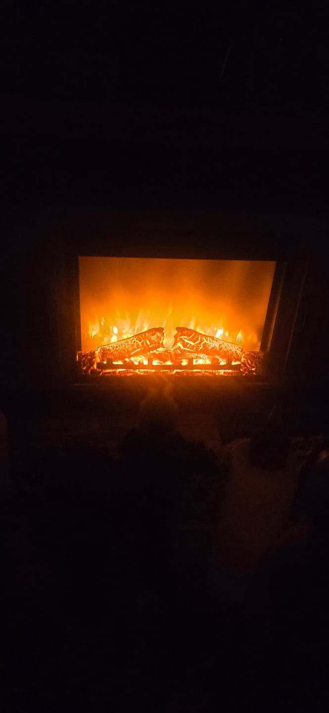 Customer photo review of 23" Electric Fireplace Insert