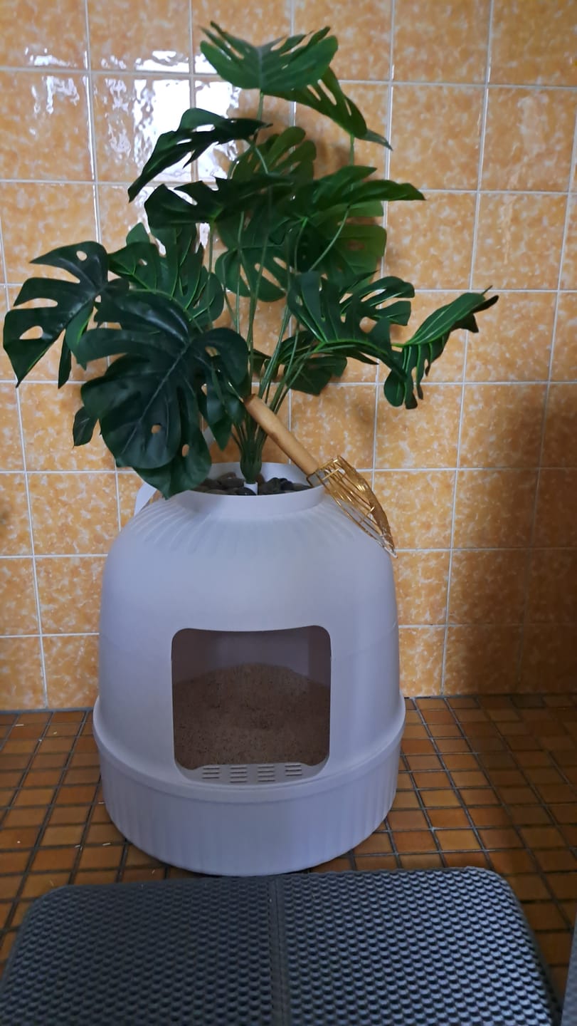 Customer photo review of Naturreines Katzenstreu