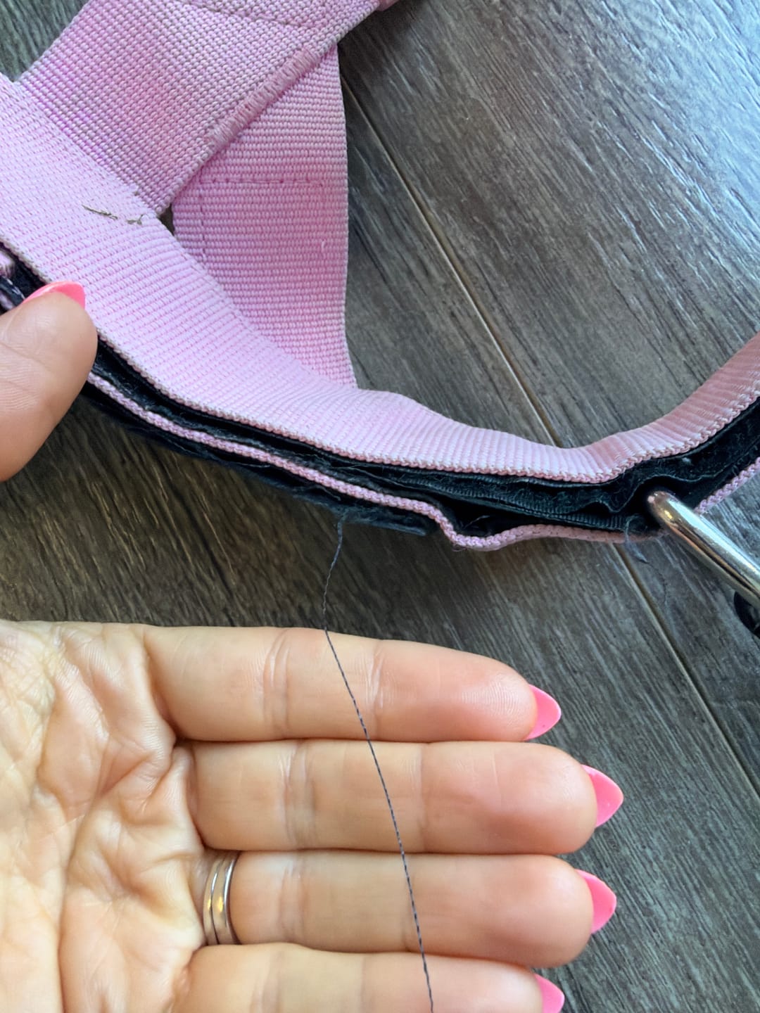 Customer photo review of No-Pull Harness [Free Today]