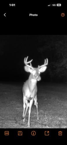 Customer photo review of GardePro Link 1.0 3000ft(1km) Long-Range WiFi Trail Camera