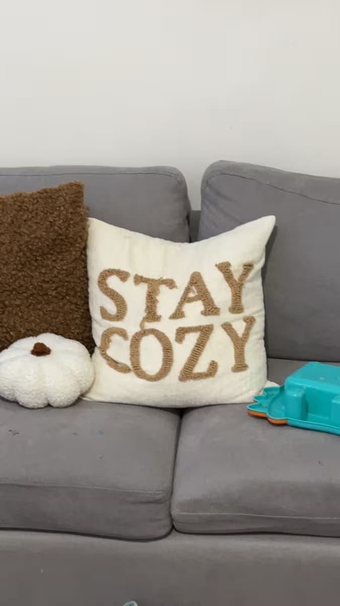 Customer photo review of Stay Cozy Throw Pillow Cover