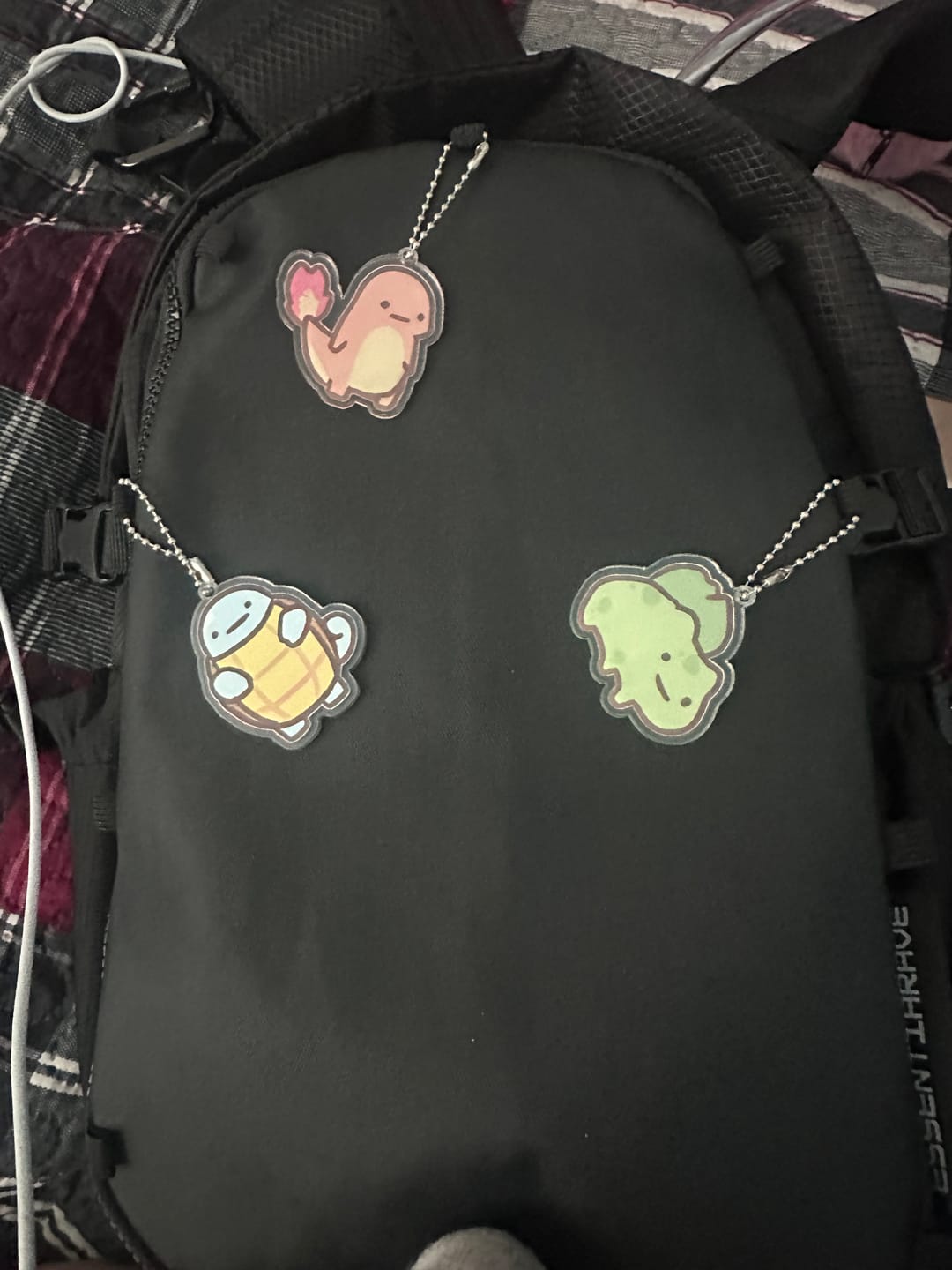 Customer photo review of ESSENTIAPAC PRO™ ANTI-THEFT HYDRATION PACK V3