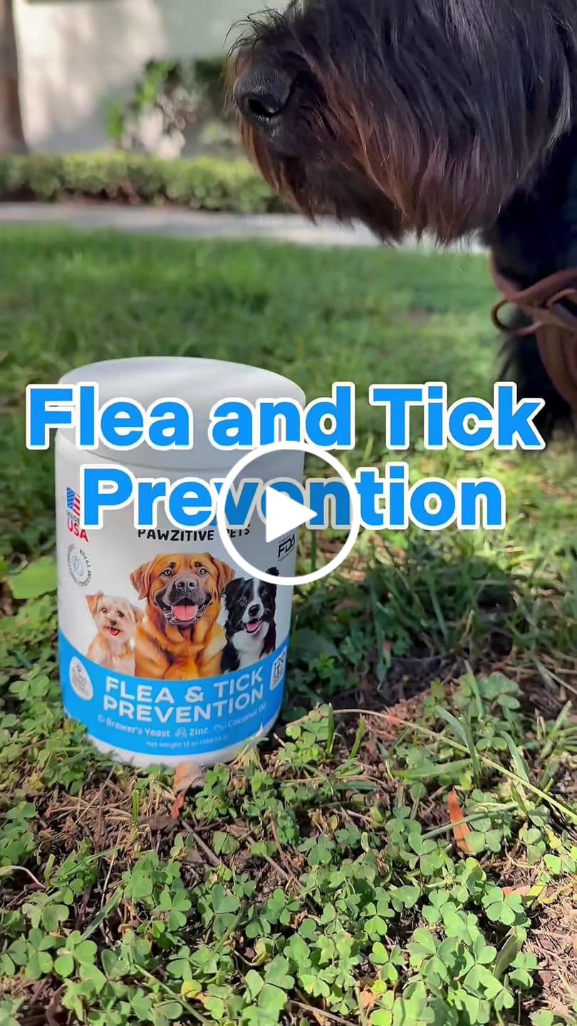 Customer video review of Dog Flea and Tick Prevention for Outdoor & Seasonal Protection – Skin & Coat Support, 120 Soft Chews (Beef Flavor)