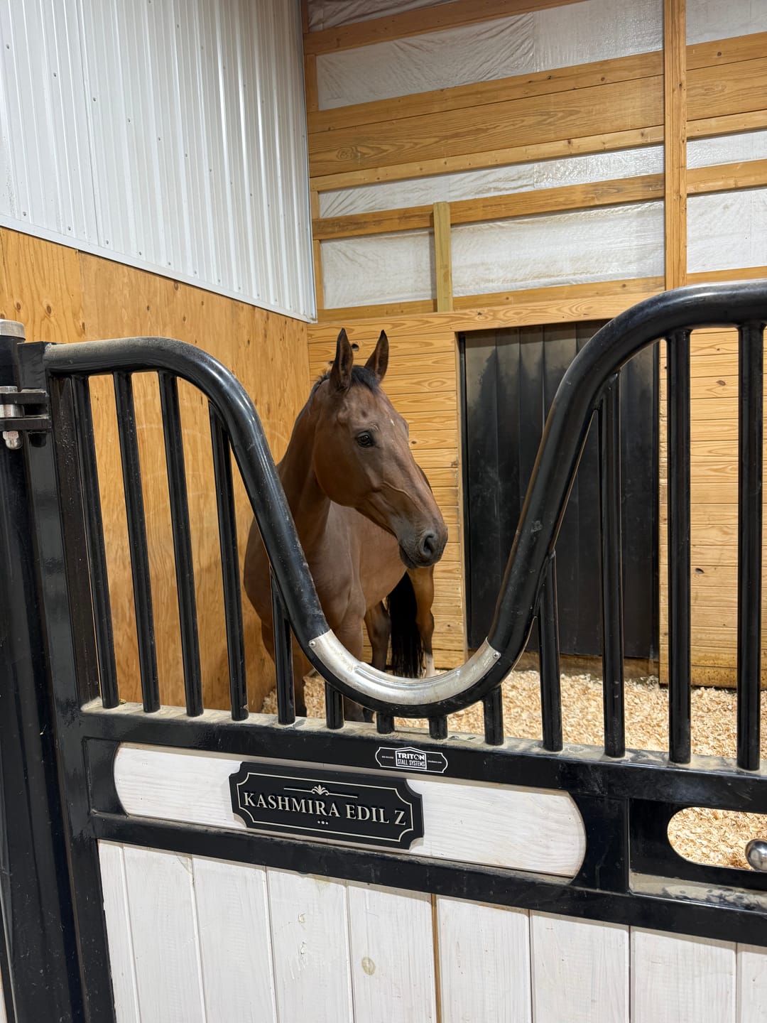 Customer photo review of The Marquee, Gold on Black — Personalized Horse Stall Name Plate
