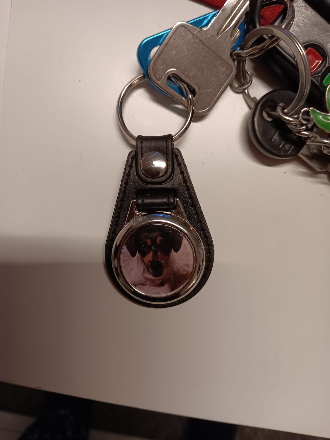 Customer photo review of Schlüsselanhänger mit Hundefoto