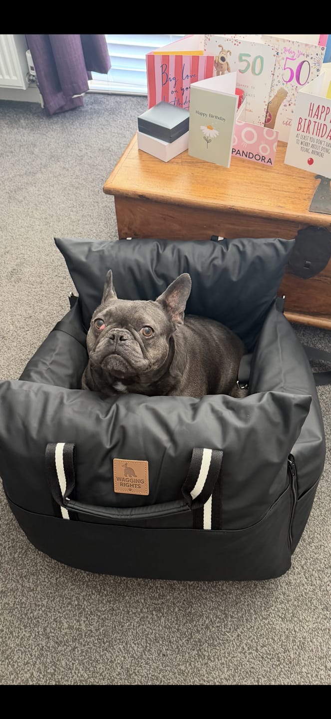 Customer photo review of Dog Dock V2 New & Improved ISO Fix