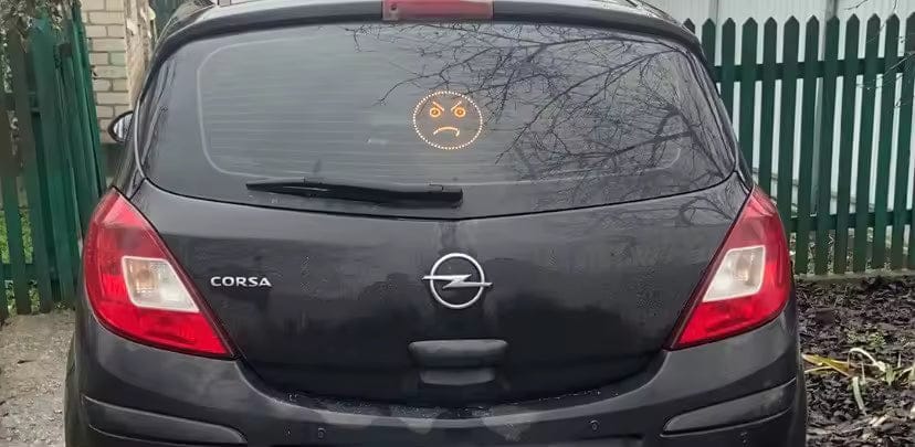 Customer photo review of CarMood LED Gesture Light – Your Car Has Feelings