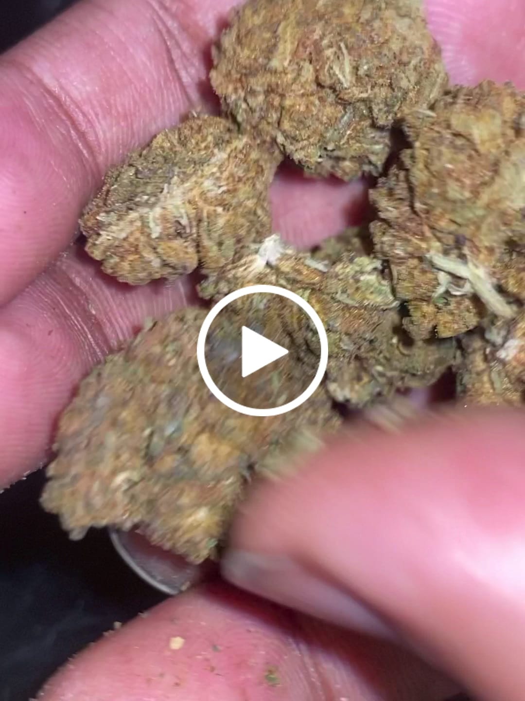 Customer video review of Cheap THCA Flower Half Pound
