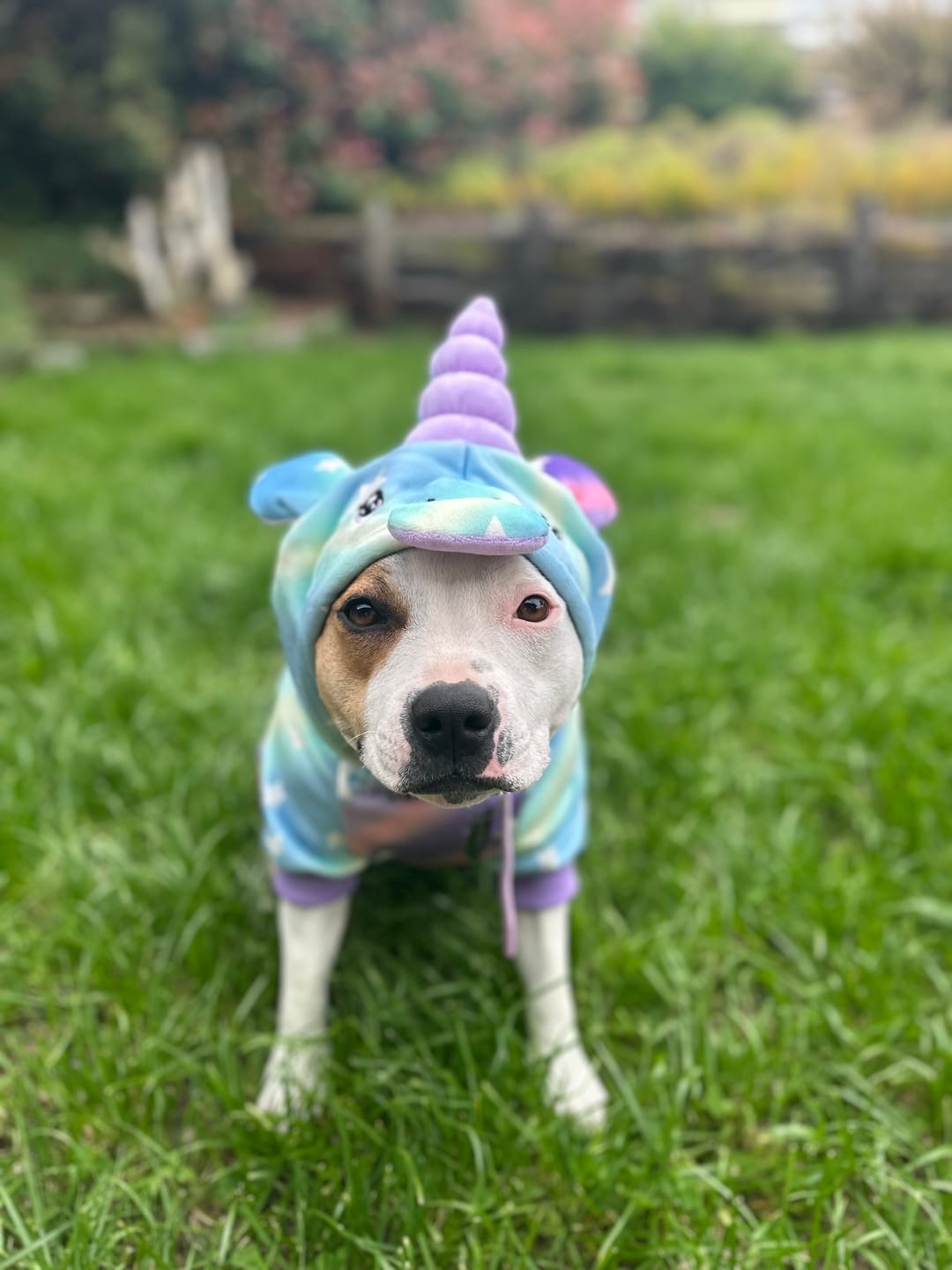 Customer photo review of Unicorn Human Hoodie