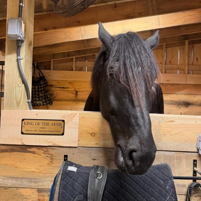 Customer photo review of The Registry Personalized Horse Stall Sign