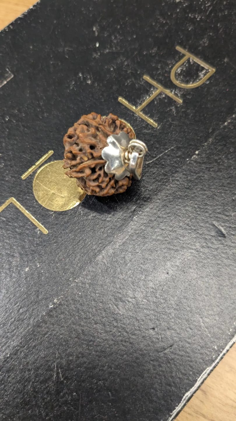Customer photo review of Nepal Origin 6 Mukhi Rudraksha – 100% Natural & Certified