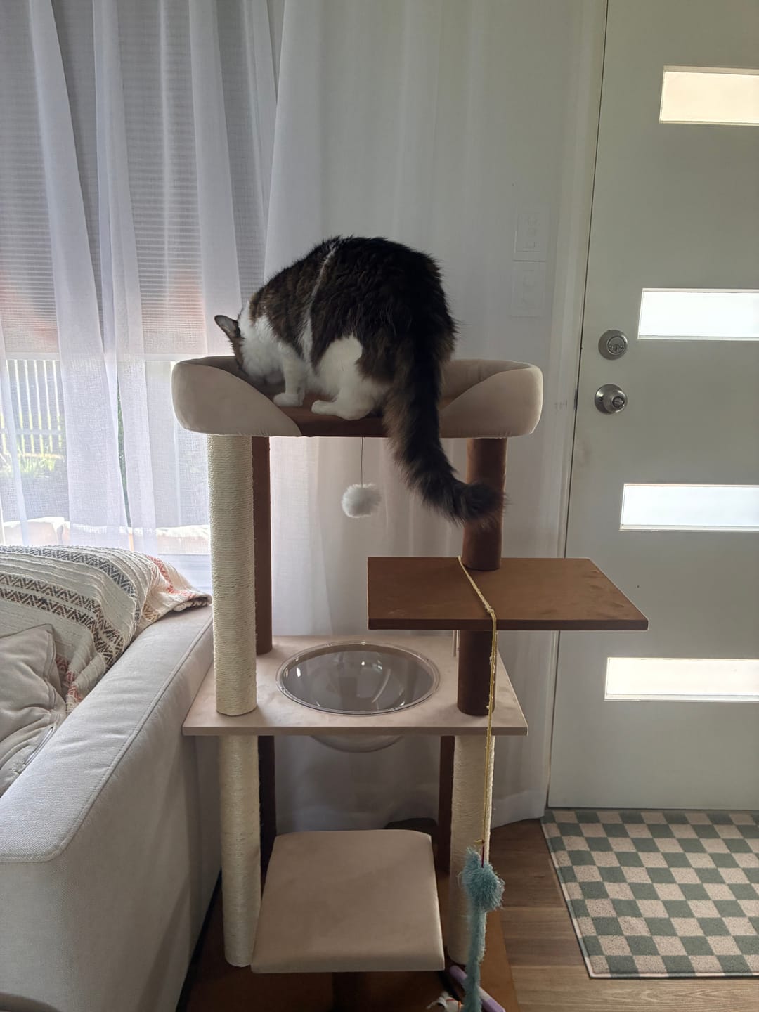 Customer photo review of Luxury Japanese-Style Cat Tree with Large Bed – 90906