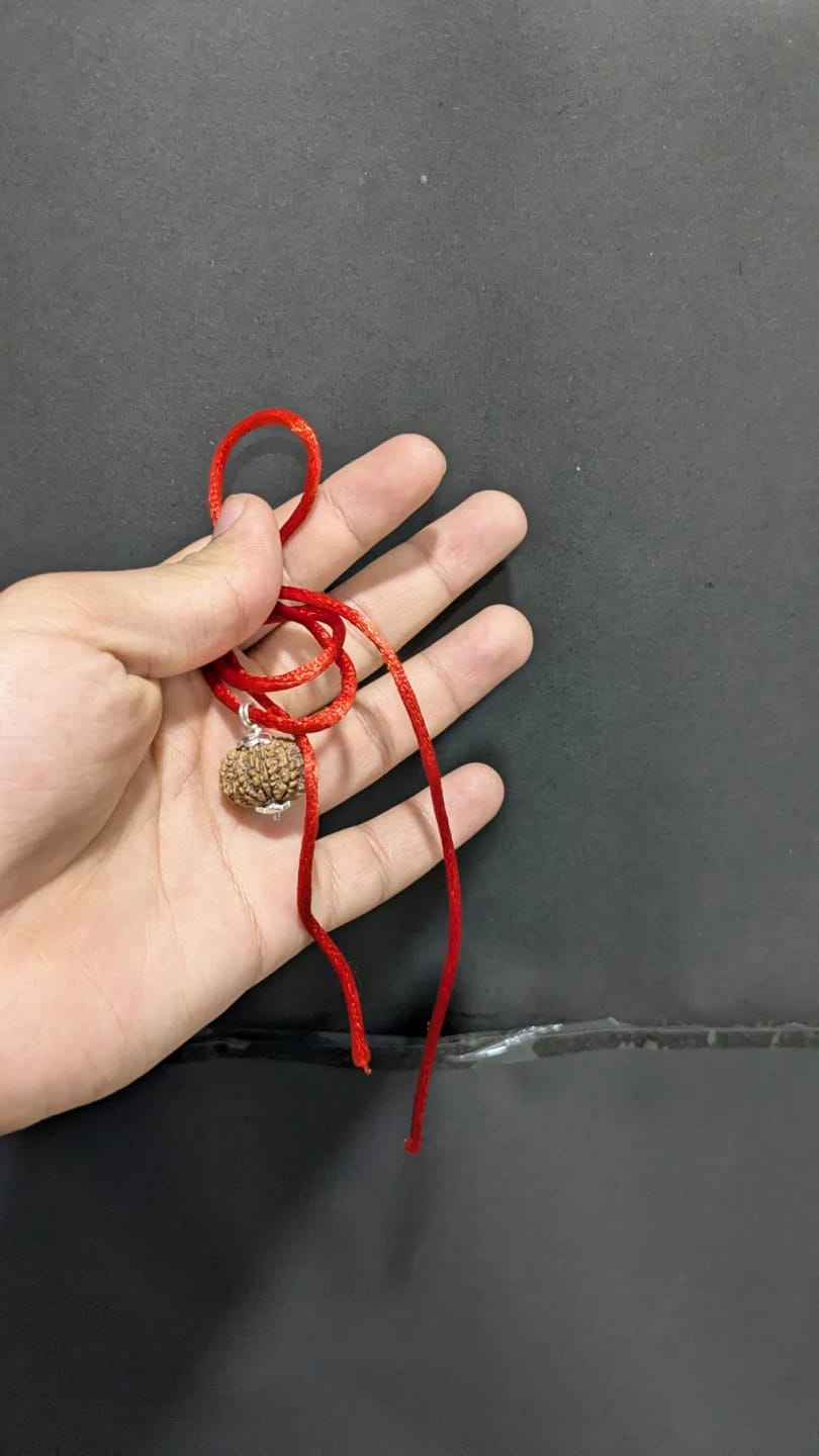 Customer photo review of Nepal Origin 10 Mukhi Rudraksha – 100% Natural & Certified