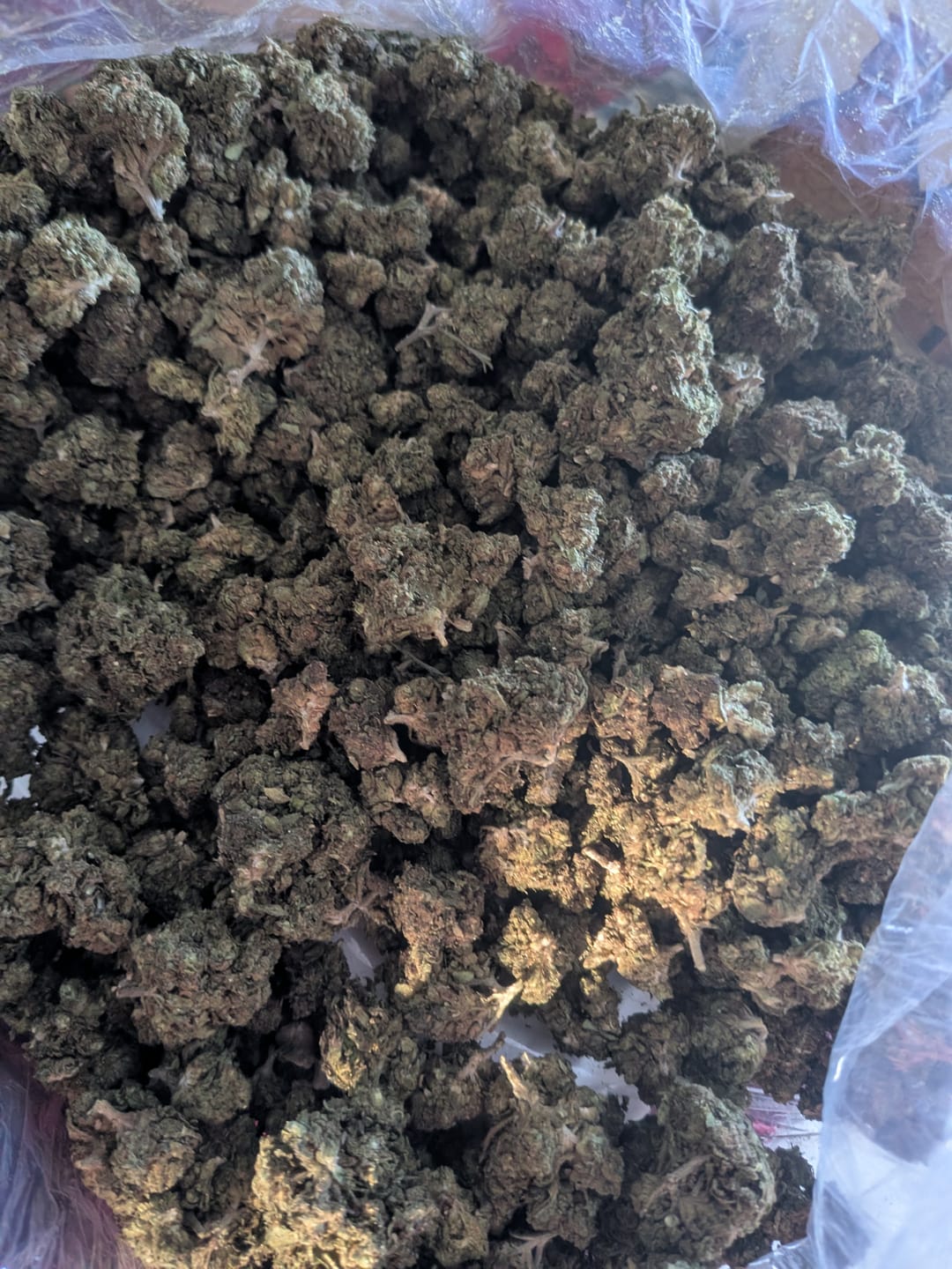 Customer photo review of THCA Flower Budget Buds