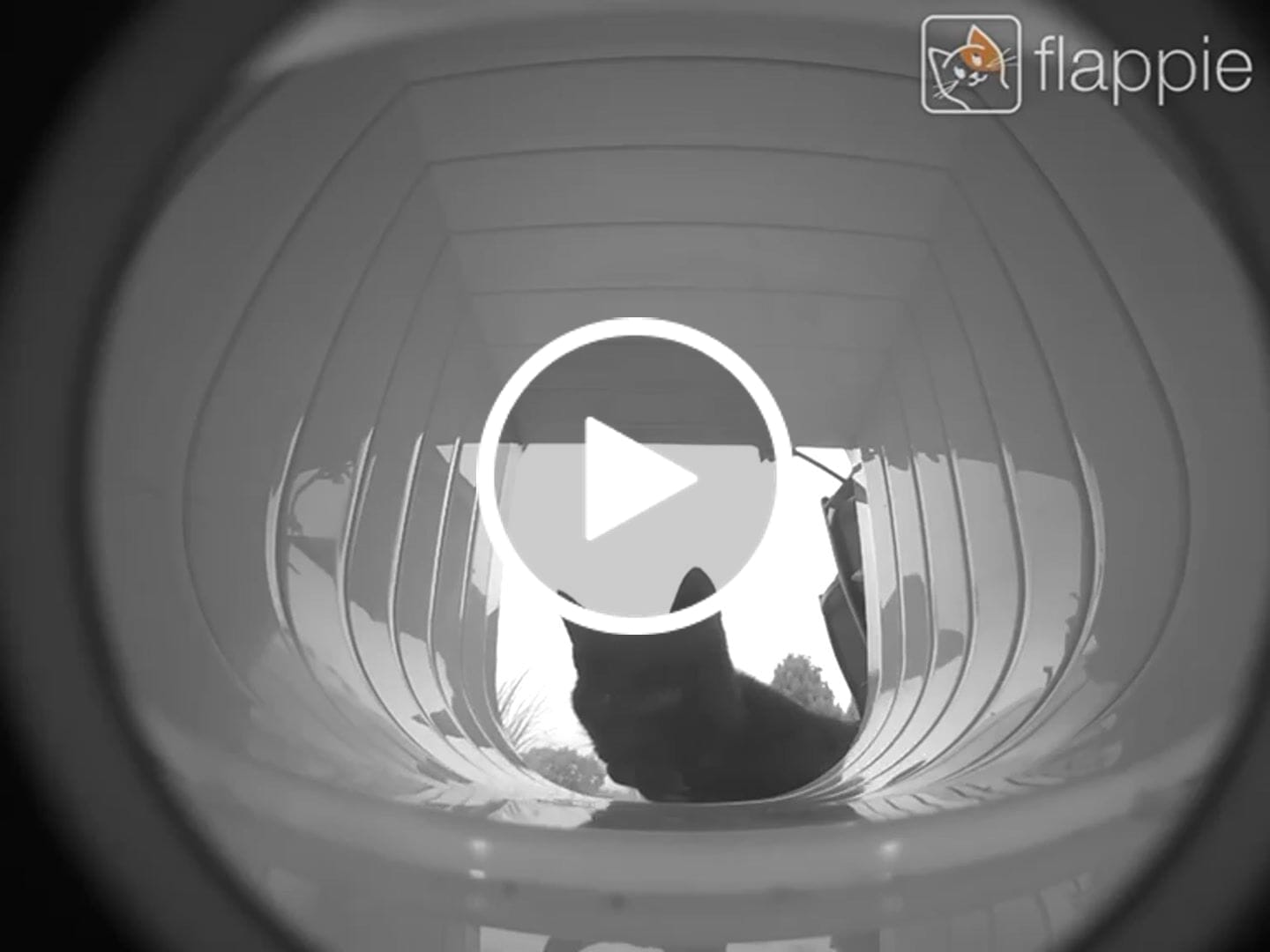 Customer video review of Flappie®