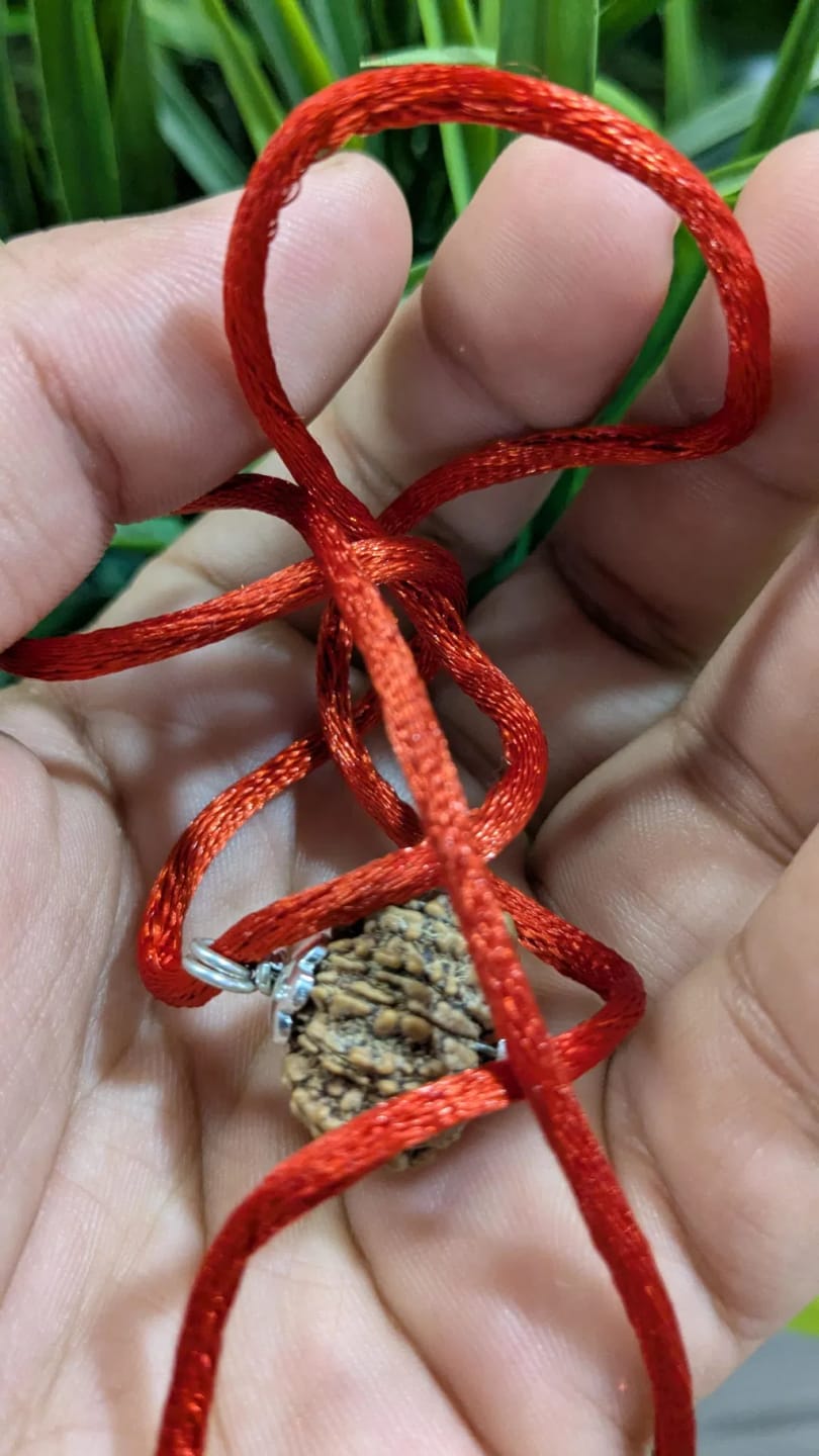 Customer photo review of Nepal Origin 10 Mukhi Rudraksha – 100% Natural & Certified