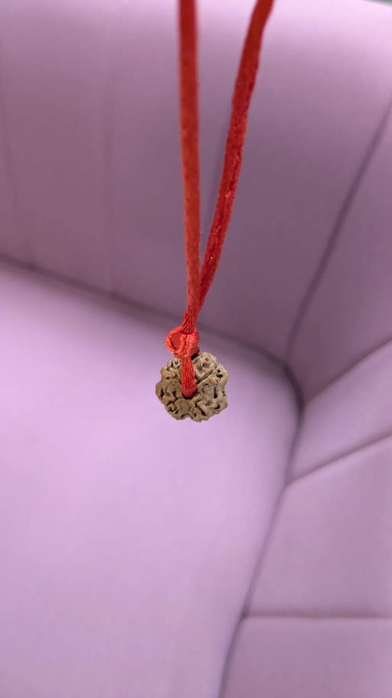 Customer photo review of Nepal Origin 4 Mukhi Rudraksha – 100% Natural & Certified
