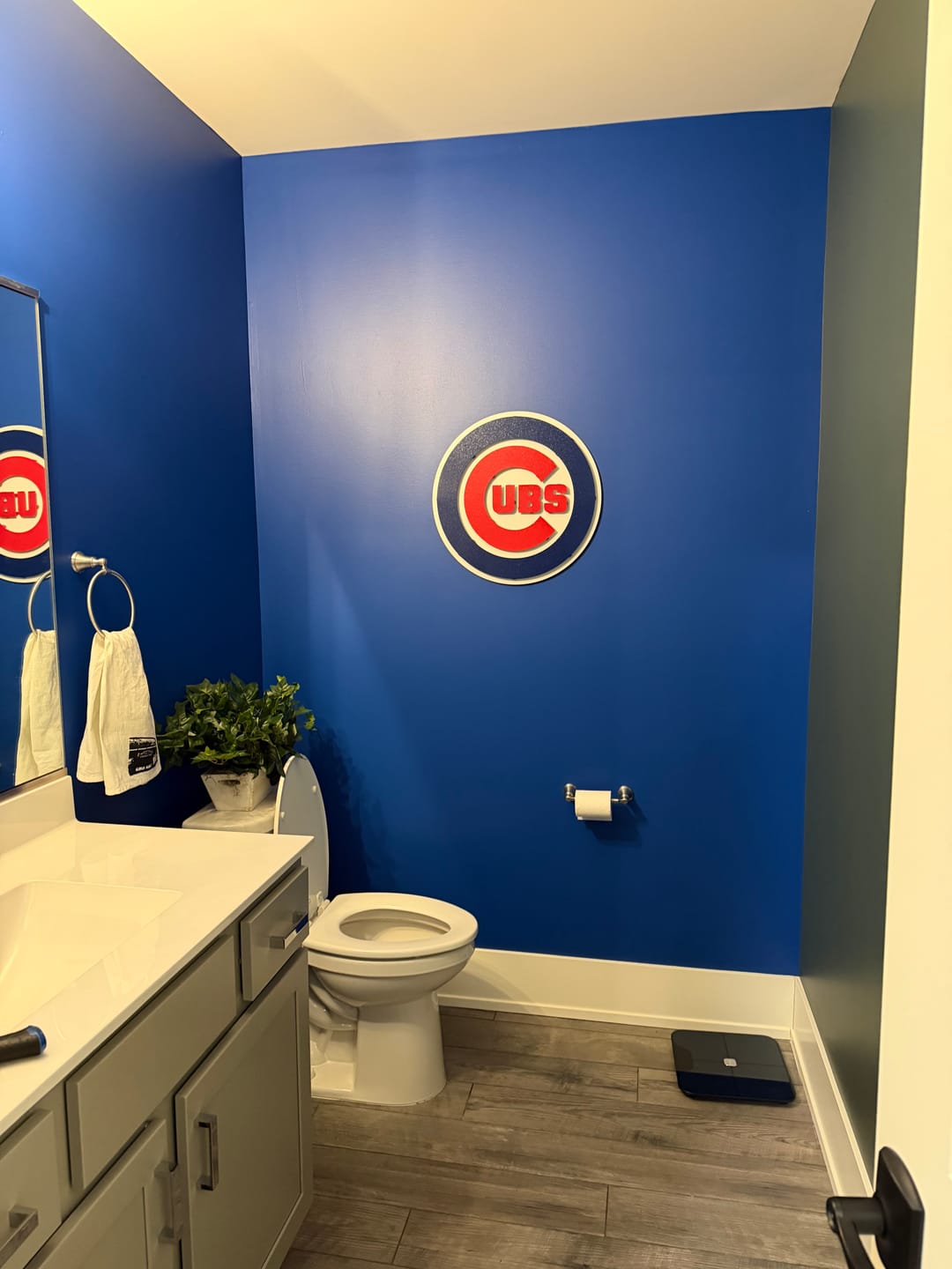 Customer photo review of Chicago Cubs Logo 3D Metal Wall Art