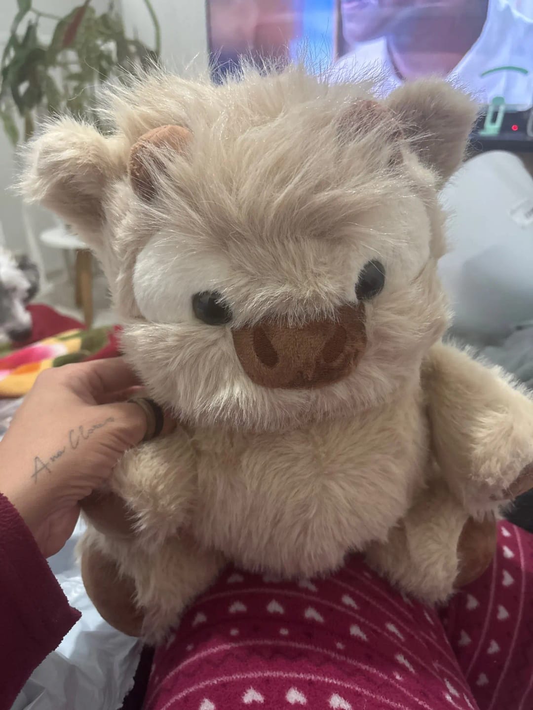 Customer photo review of MooDash BoopJoy – La vaquita de peluche que corre