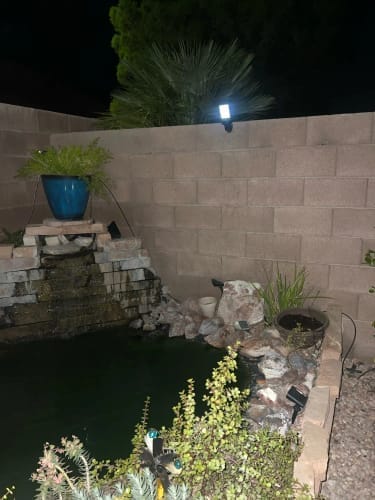 Customer photo review of Solar Motion Sensor Flood Light