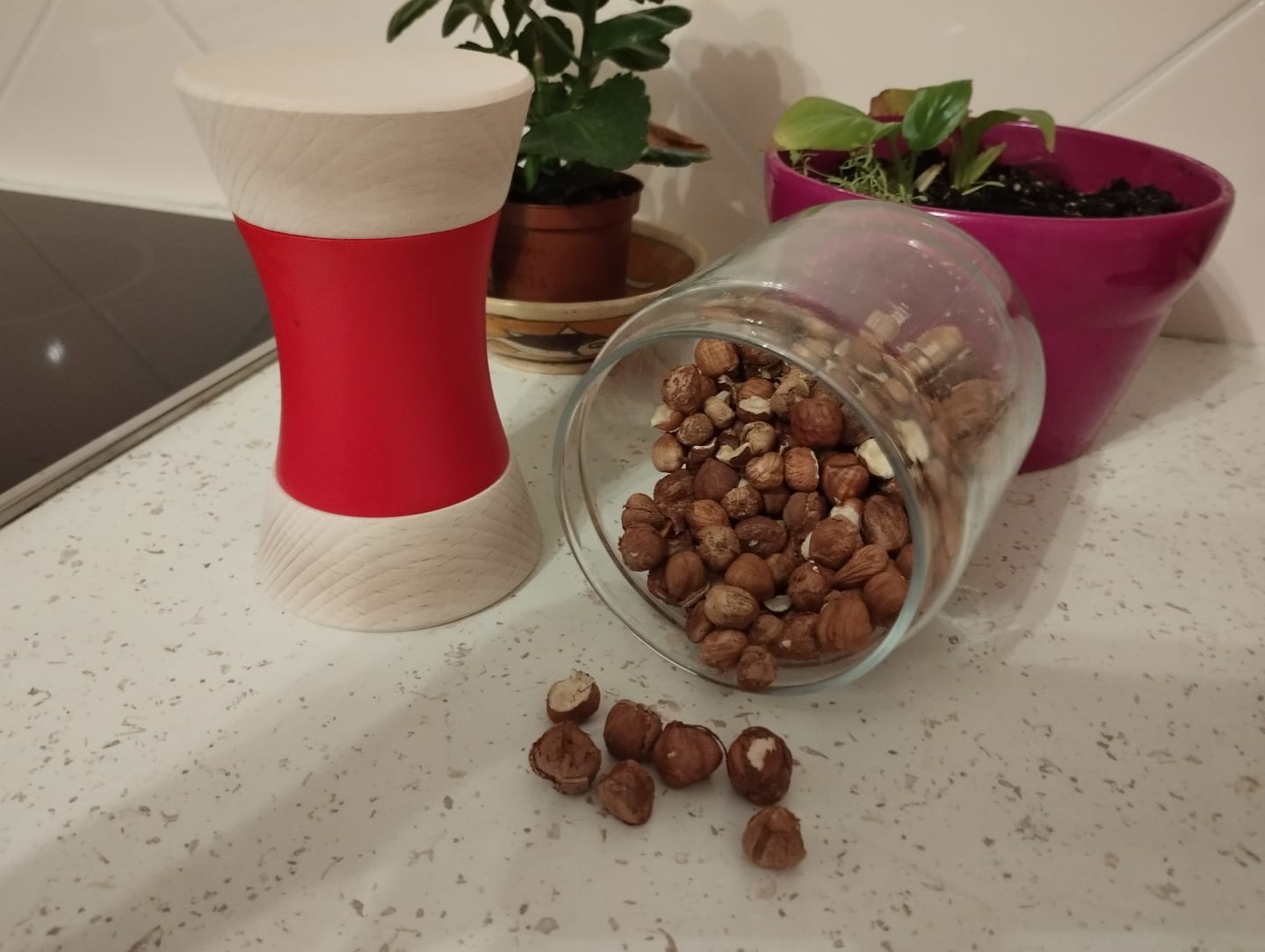 Customer photo review of Le casse-noix et casse-noisette TOHA