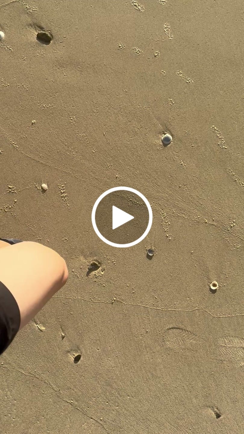 Customer video review of Men's Barefoot Mesh