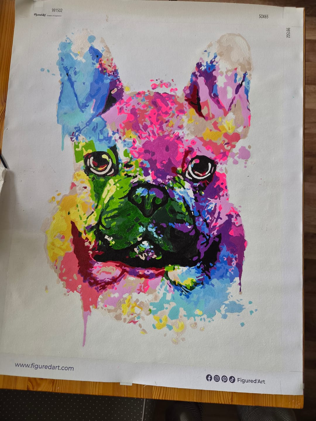 Customer photo review of Joli Chien en Couleurs