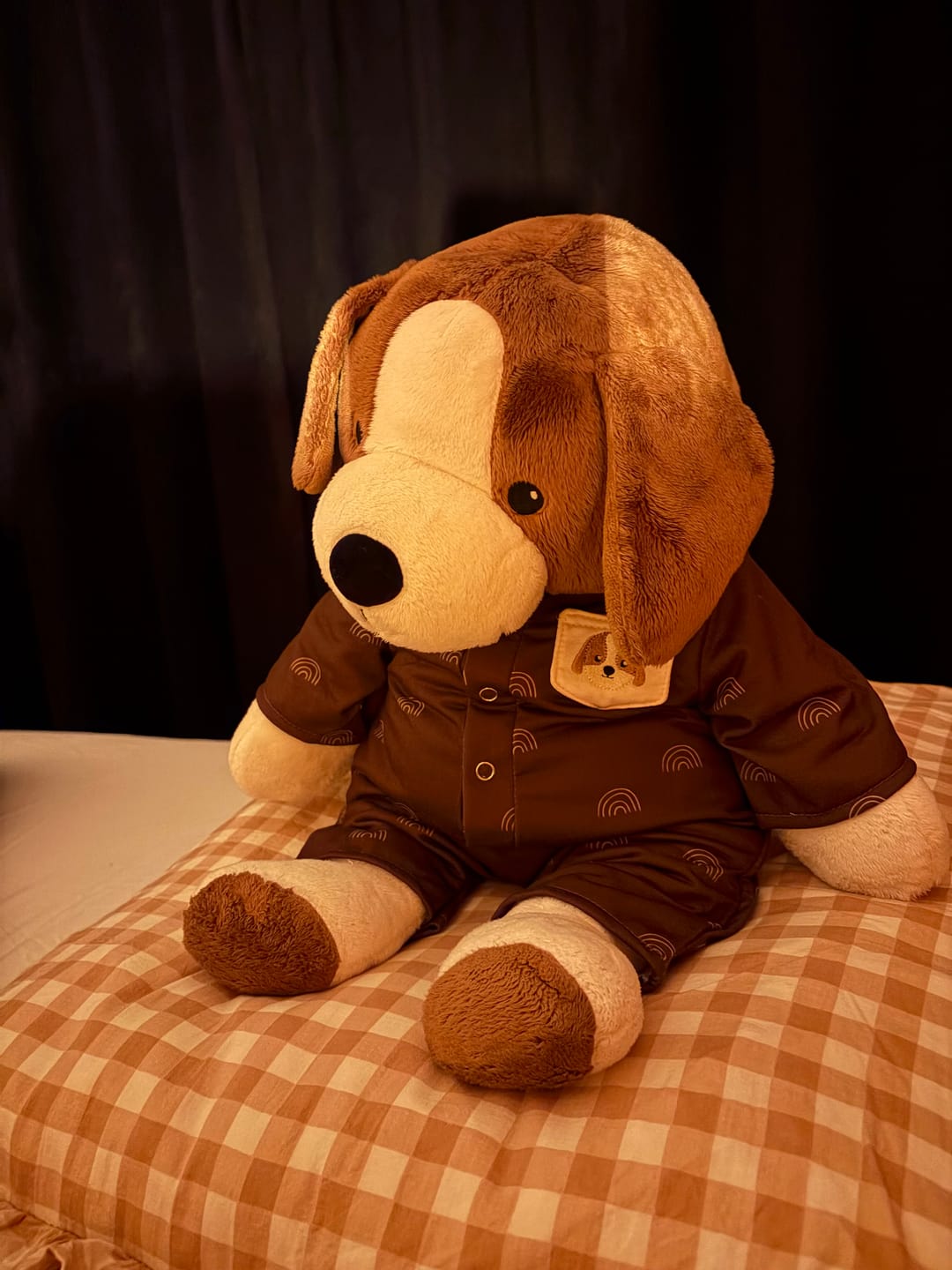 Customer photo review of Hond Kleding Origineel Lotgenootje