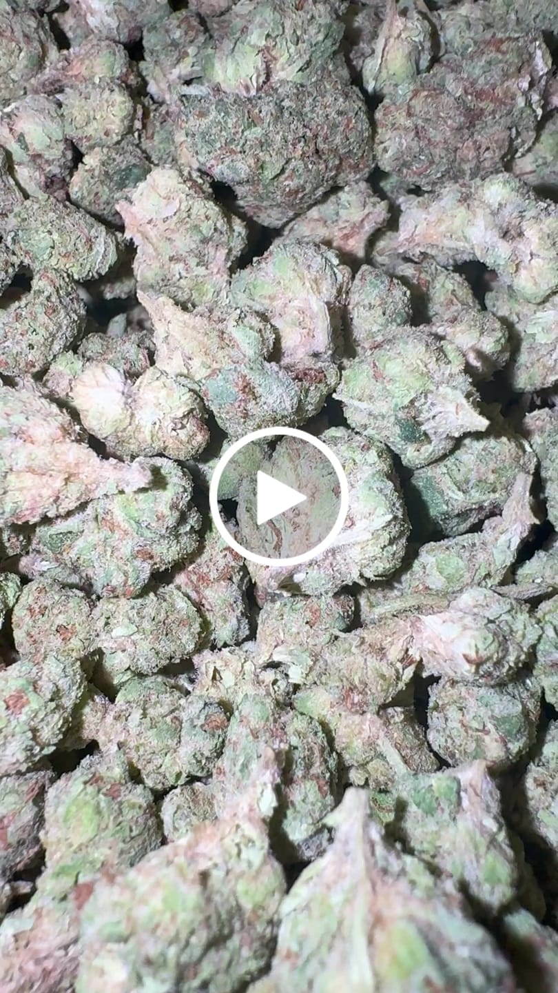 Customer video review of Glitter Bomb (Indoor Smalls) – Bulk THCA Flower 1 lb