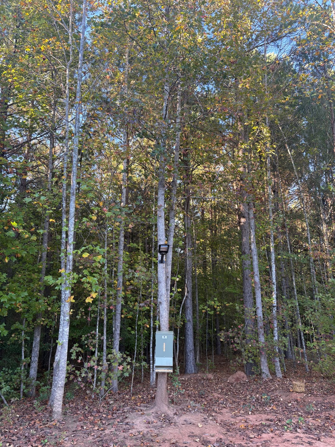 Customer photo review of Solar Red Light for Hunting Hogs Deers
