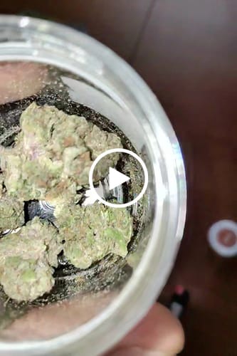 Customer video review of THC-A 32% Flower Lemonatti