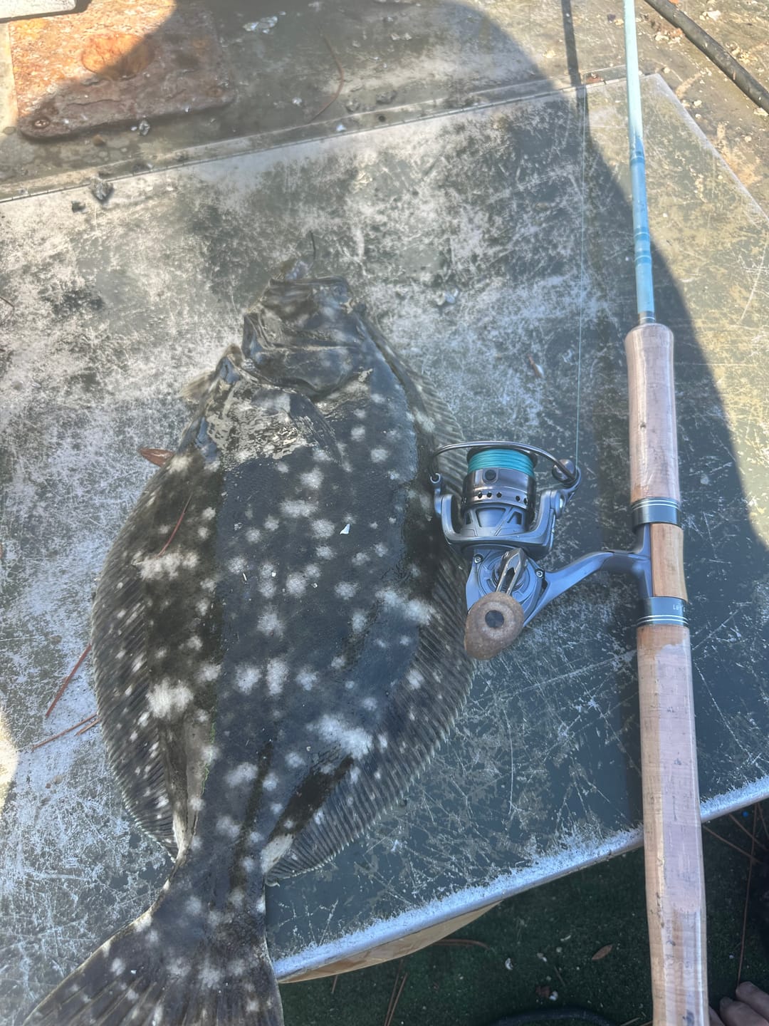 Customer photo review of Stono Inshore Reel