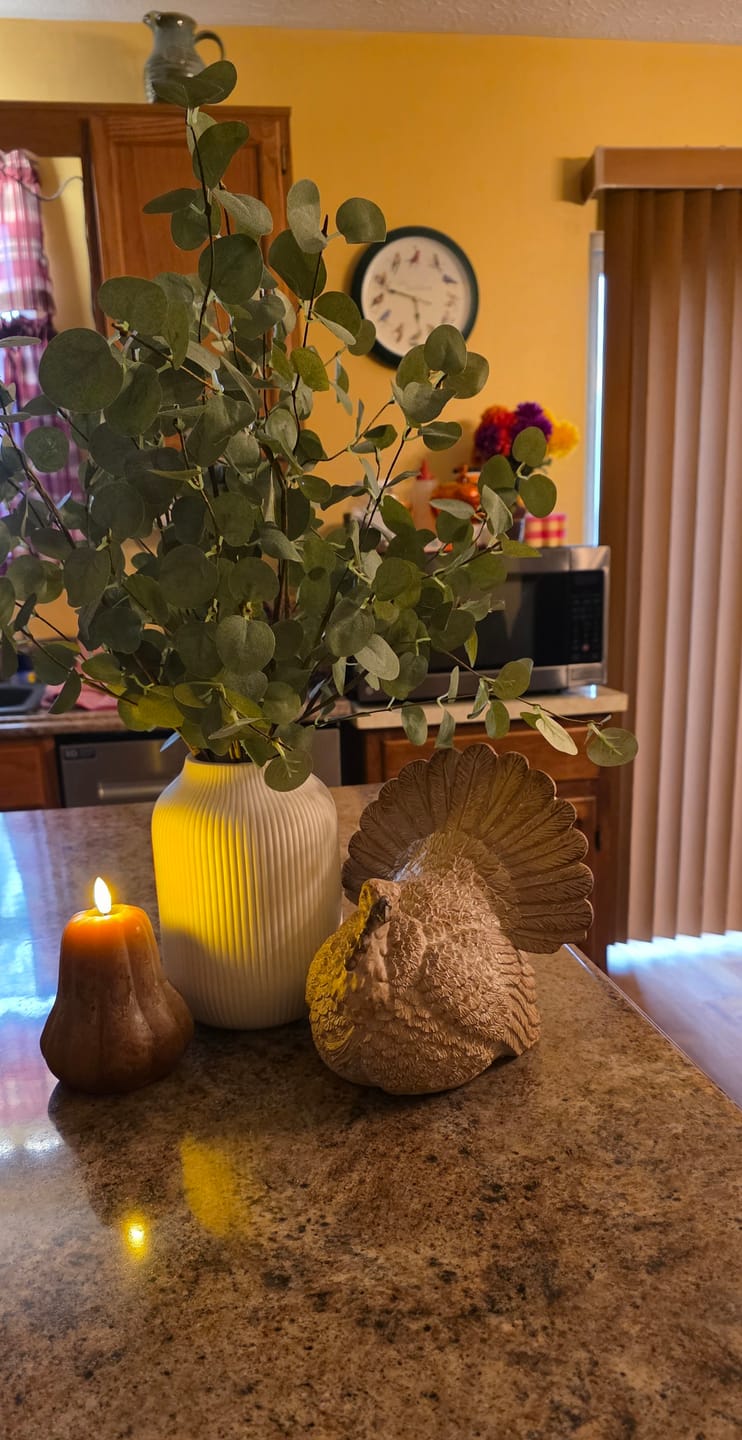 Customer photo review of Flameless Autumn Gourd Candle