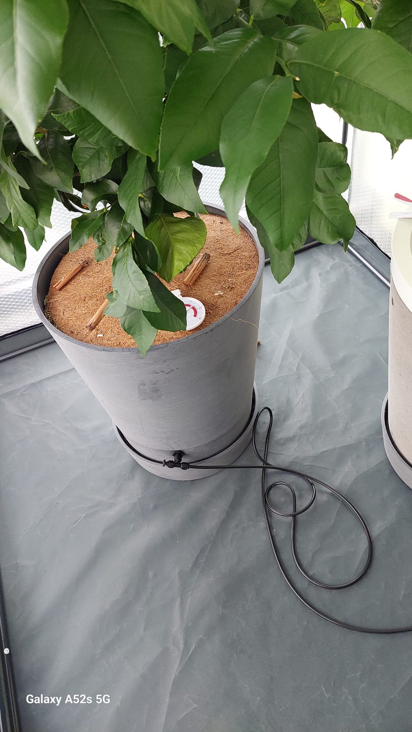 Customer photo review of Boum Pro Topf 30 L