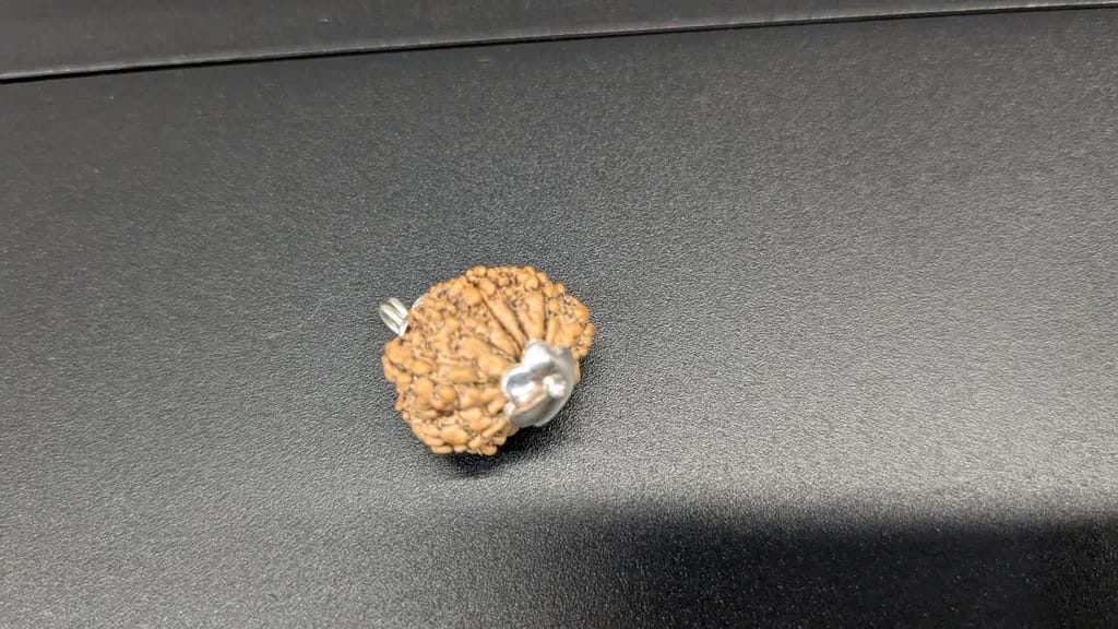 Customer photo review of Nepal Origin 10 Mukhi Rudraksha – 100% Natural & Certified