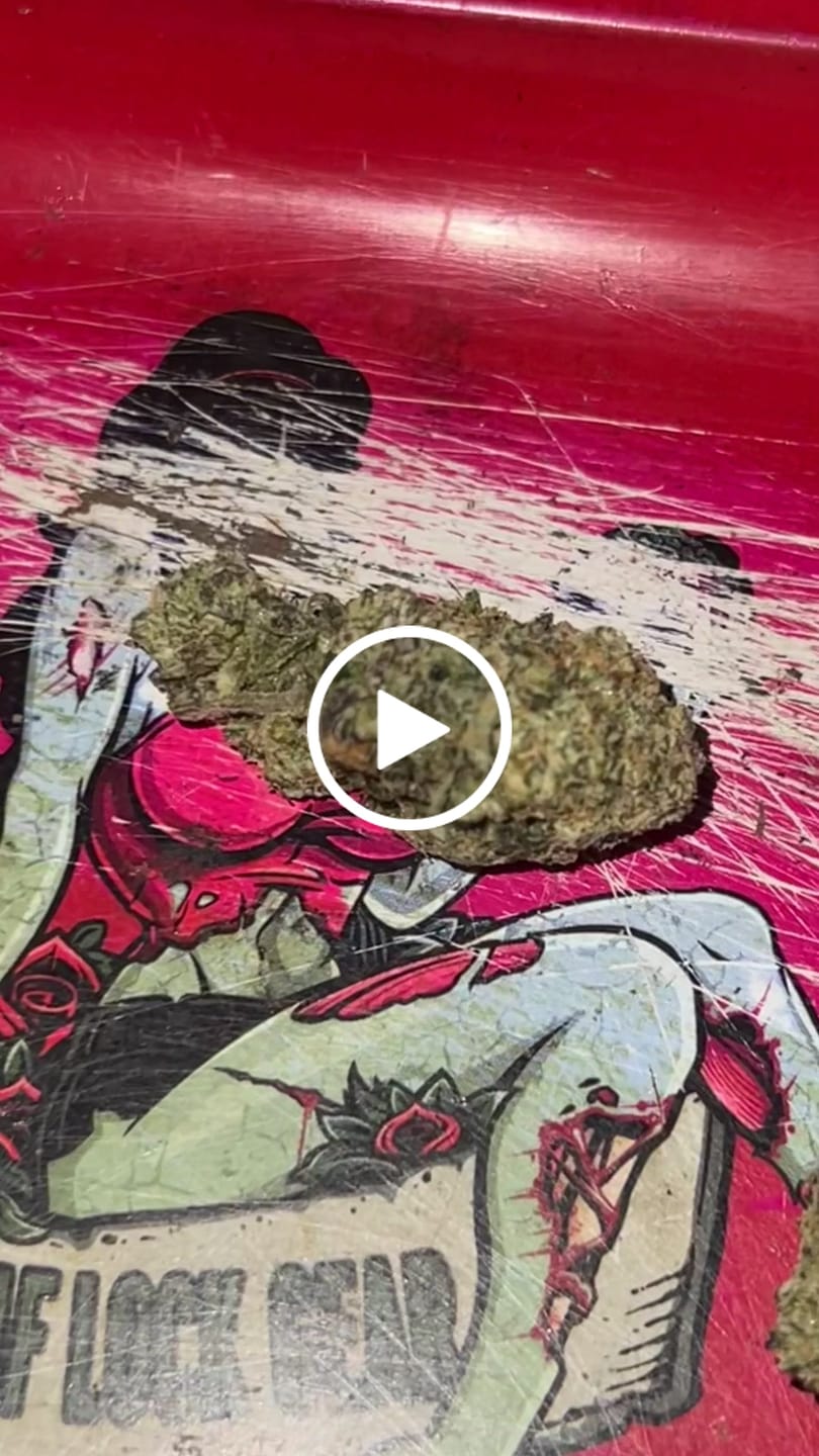 Customer video review of KIND - Toad Venom - 14 Grams - Indica