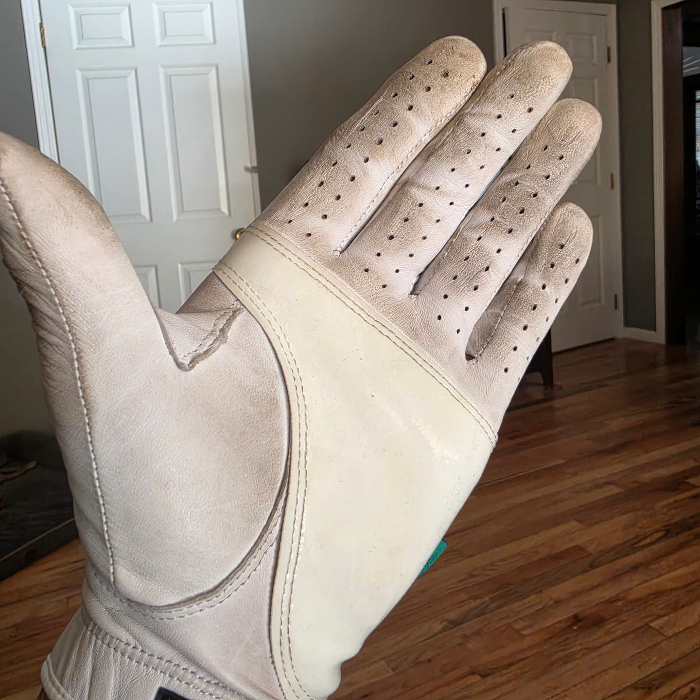 Customer photo review of Holen SureGrip Glove
